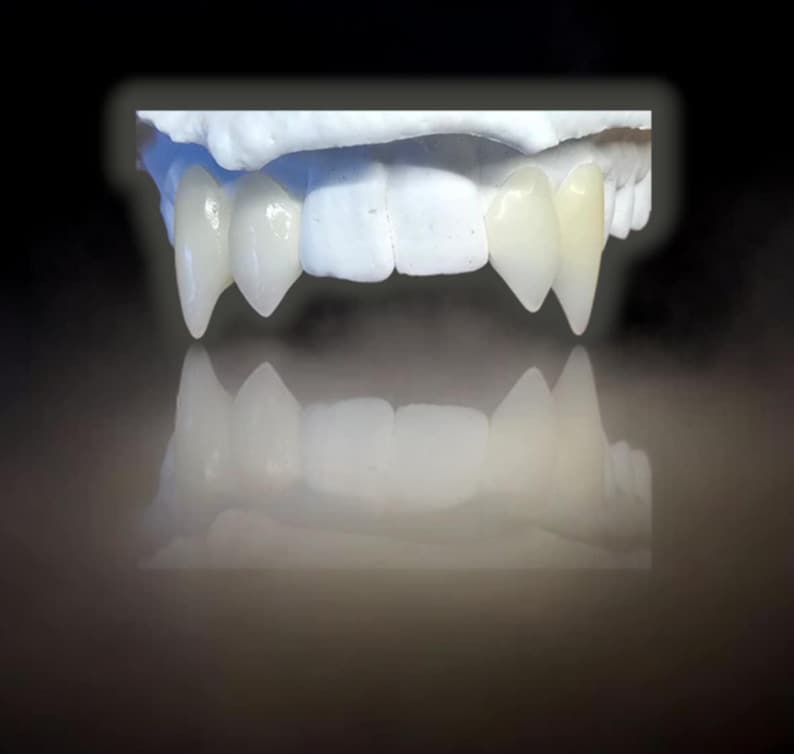May include: A set of vampire fangs, crafted from a light-colored material, are displayed against a dark background. The fangs are sharp and pointed, with a realistic appearance. The image includes a reflection of the fangs, enhancing the visual impact.