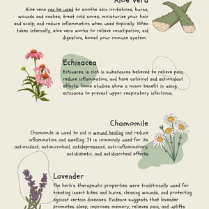  DZQUY Magical Herbs And Their Uses Witchy Poster