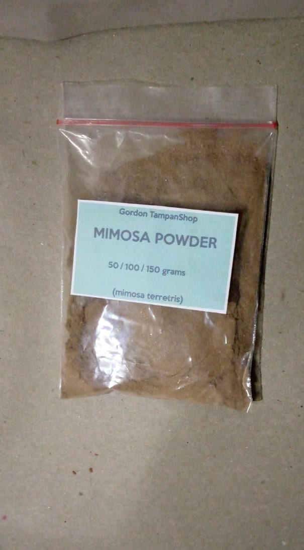 染料】mimosa hostilis 100g