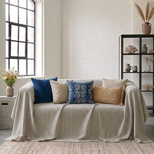 May include: A living room scene featuring a sofa draped with a striped throw and adorned with various throw pillows in shades of blue, beige, and brown. A woven rug lies on the floor, and a large window provides natural light. A black shelving unit displays decorative items.