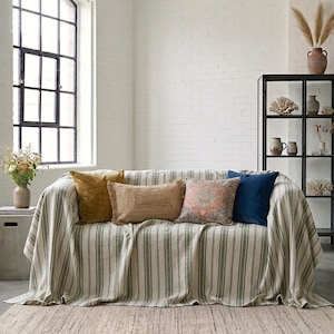 May include: A living room scene featuring a sofa draped with a striped throw and several decorative pillows in shades of gold, brown, pink, and blue. A woven rug and a black display cabinet complete the cozy, neutral-toned space.