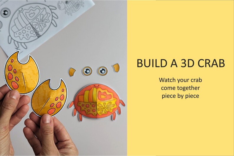 Op de afbeelding: Een papieren knutselset voor een 3D-krabproject met oranje en gele onderdelen met patronen, waaronder twee grote scharen, twee ogen en een lichaamsdeel. De tekst BUILD A 3D CRAB en Watch your crab come together piece by piece is zichtbaar.