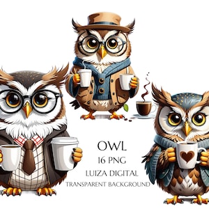 Chouette boire du café clipart, hibou avec une tasse de café, aquarelle oiseaux drôles PNG, hibou de dessin animé, oiseaux de café ivres fous, téléchargement numérique Commercial