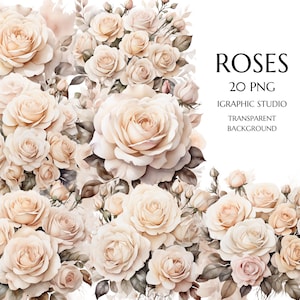 Clipart de Rosa Branca | Clipart de Flores | Clipart de Rosas | Buquê png | Clipart de Casamento | Decoração de Aniversário | Download Digital | Uso Comercial