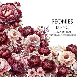 Burgundy Peony Clipart – Pink Peonies Bouquet PNG for Wedding Decor & Birthday Invitation
