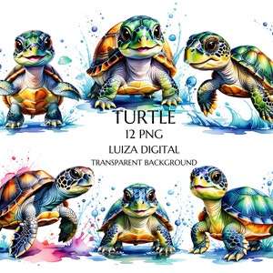 Aquarell Meeresschildkröte Clipart, niedliche nautische Ozeantiere PNG Clip Art, Hawaiianische PNG, Schildkröte Grafiken sofortiger Download für kommerzielle Nutzung