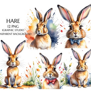 Clipart Hare, Królik Akwarelowy, Clipart Akwarelowy Do Wydrukowania, Wysokiej Jakości PNG, Pobieranie Cyfrowe, Rękodzieło Papierowe, Dzienniki Śmieciowe
