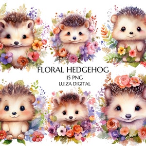 Clipart hérisson, Clipart hérisson floral, clipart printemps chambre d'enfant, clipart Animal, clipart aquarelle printemps, Clipart floral, usage Commercial
