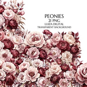 Burgundy Peonies Clipart & Pink Spring Flowers Png for Wedding and Birthday Crafts