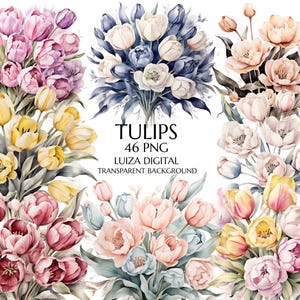 Watercolor Tulips Clipart, Tulips Clipart, Spring Clipart, Spring Tulips, Floral Clipart, Wedding Clipart, Wedding Flowers, Commercial use