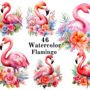Flamingo Floral Clipart, Watercolor Flamingo Clipart, Floral PNG, Birds Clipart, Flamingo PNG, Wall Art, Sublimation, Digital Download