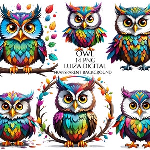 Bundle coloré de cliparts hibou mignon, oiseau coloré vibrant, aquarelle floral hibou Clipart, téléchargement immédiat PNG, fabrication de cartes, art imprimable