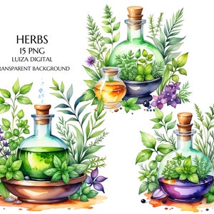 Watercolor bottle and herbs clipart, Herbal clipart, Herbs clip art, Kitchen decor, Cottagecore, Watercolor Medicinal Plant Clipart