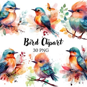 Watercolor Birds Clipart, Birds PNG, Card Making, Watercolor Clipart, Colorful Birds, Spring Birds Clipart, Birds Clipart Bundle