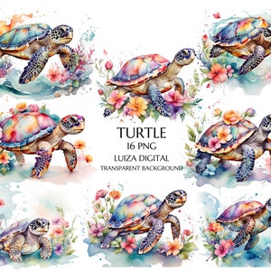 Aquarell Meeresschildkröte Clipart, niedliche nautische Ozeantiere PNG Clip Art, Hawaiianische PNG, Schildkröte Grafiken sofortiger Download für kommerzielle Nutzung