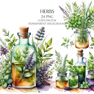 Garrafa de aquarela e ervas clipart, Clipart de ervas, Clipart de ervas, Decoração de cozinha, Cottagecore, Clipart de planta medicinal em aquarela