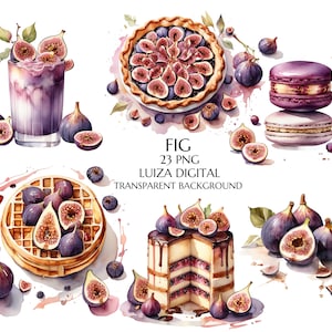 Aquarel vijgendessert clipart, vijgentaart png-bundel, aquarel vijgenmand, mediterrane clipart, commercieel gebruik, instant download