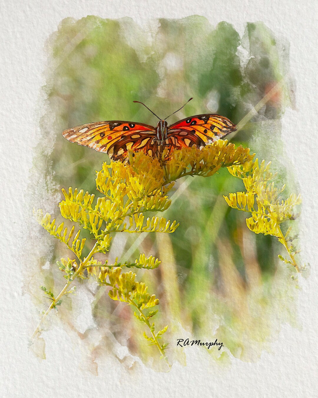 Butterfly Watercolor Print Gulf Fritillary Butterfly - Etsy