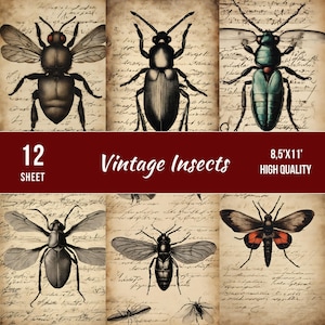 Pagine digitali di insetti vintage, kit di carta per album digitale, foglio di collage, download di entomologia, download istantaneo