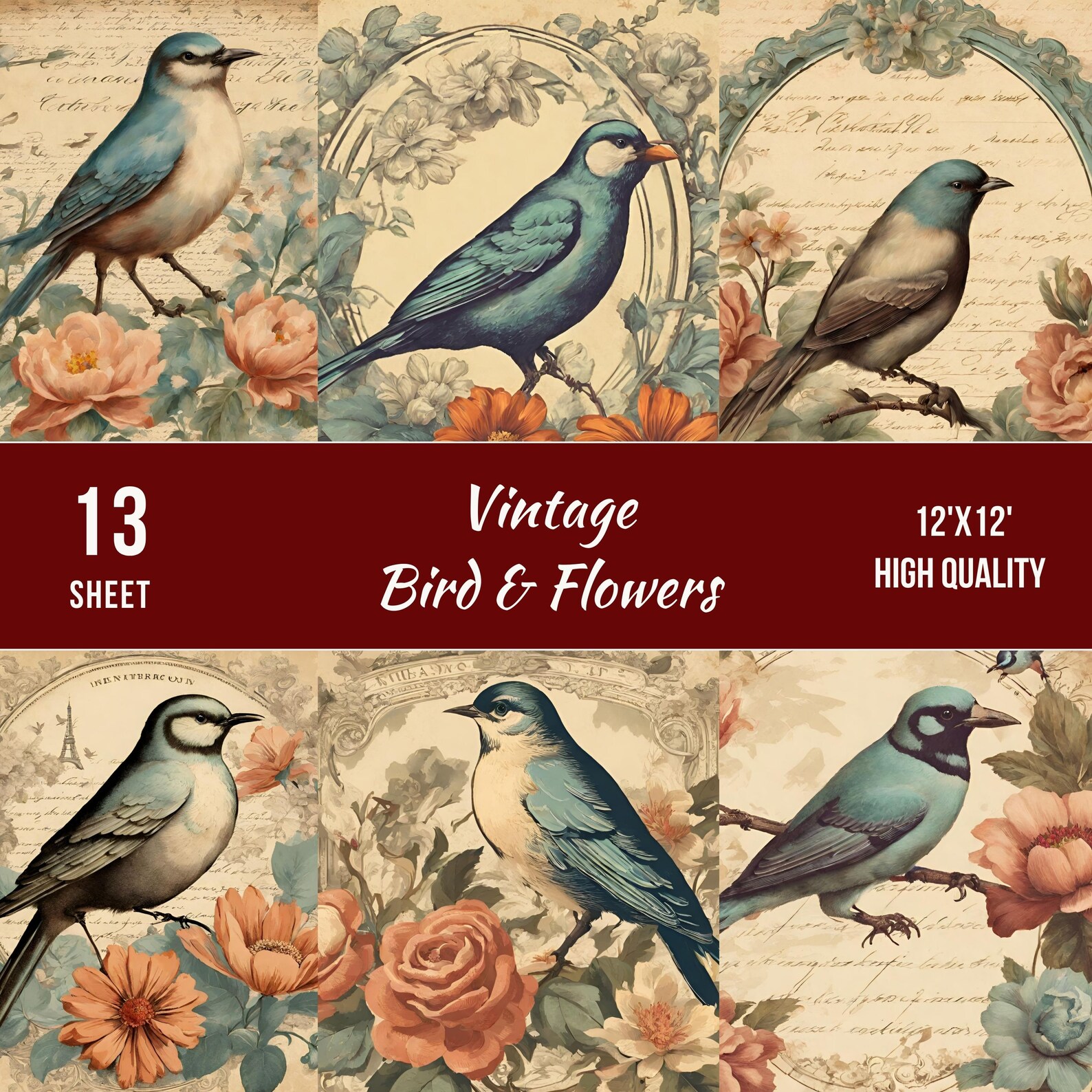 Vintage Birds Pages, Digital Collage Sheet, Bird and Ephemera, Birds ...