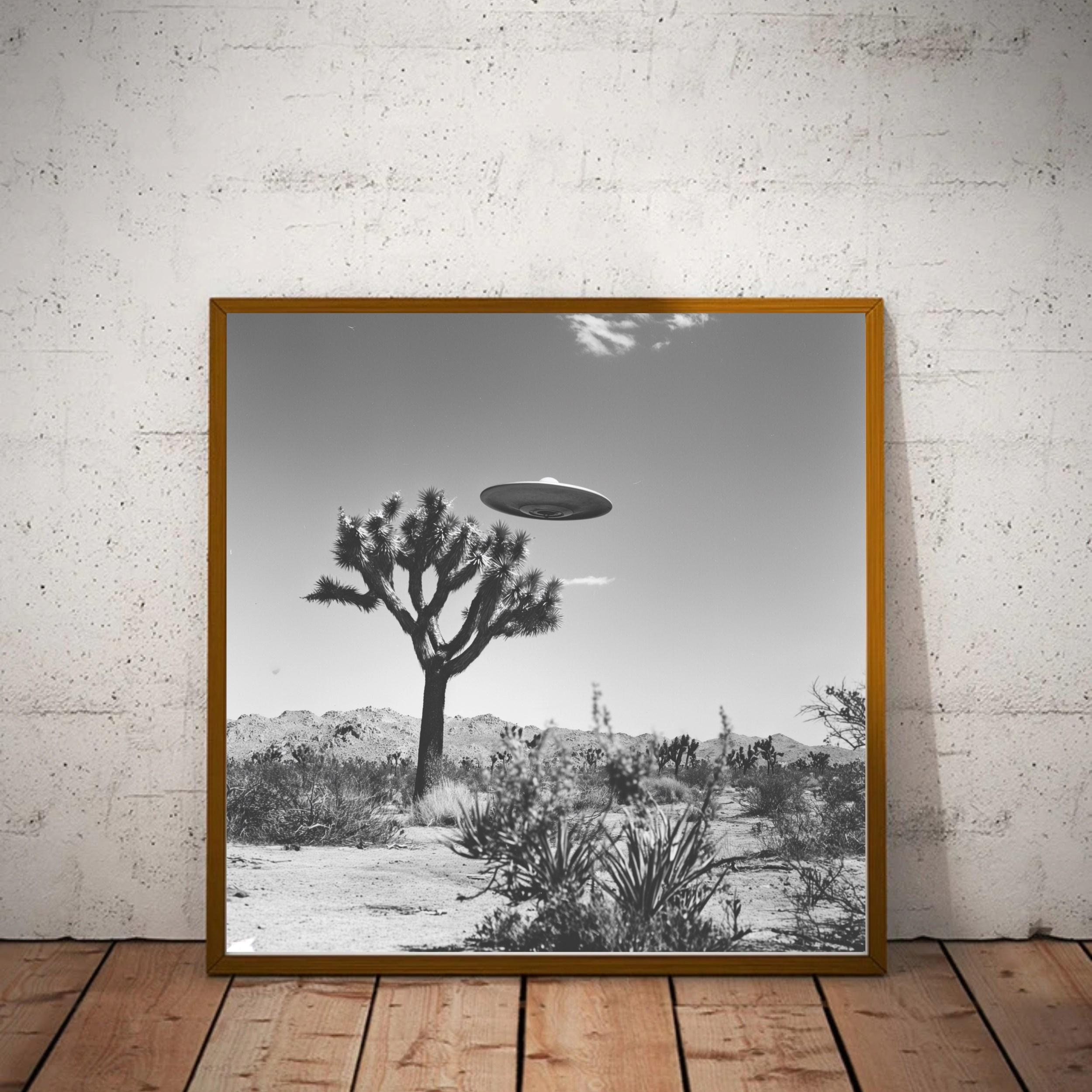 UFO Over Joshua Tree Photo Print, Mid-century Modern Black and