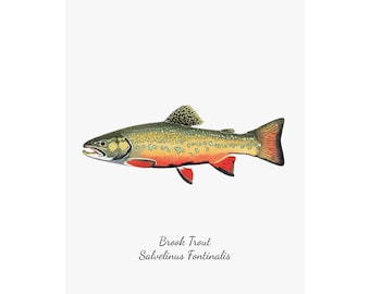 Satin Poster, Brook Trout Art Poster, Trout Lover Gift, Fishing Decor, Fisherman Gift, Nature Wall Art, Fishing Enthusiast Decor