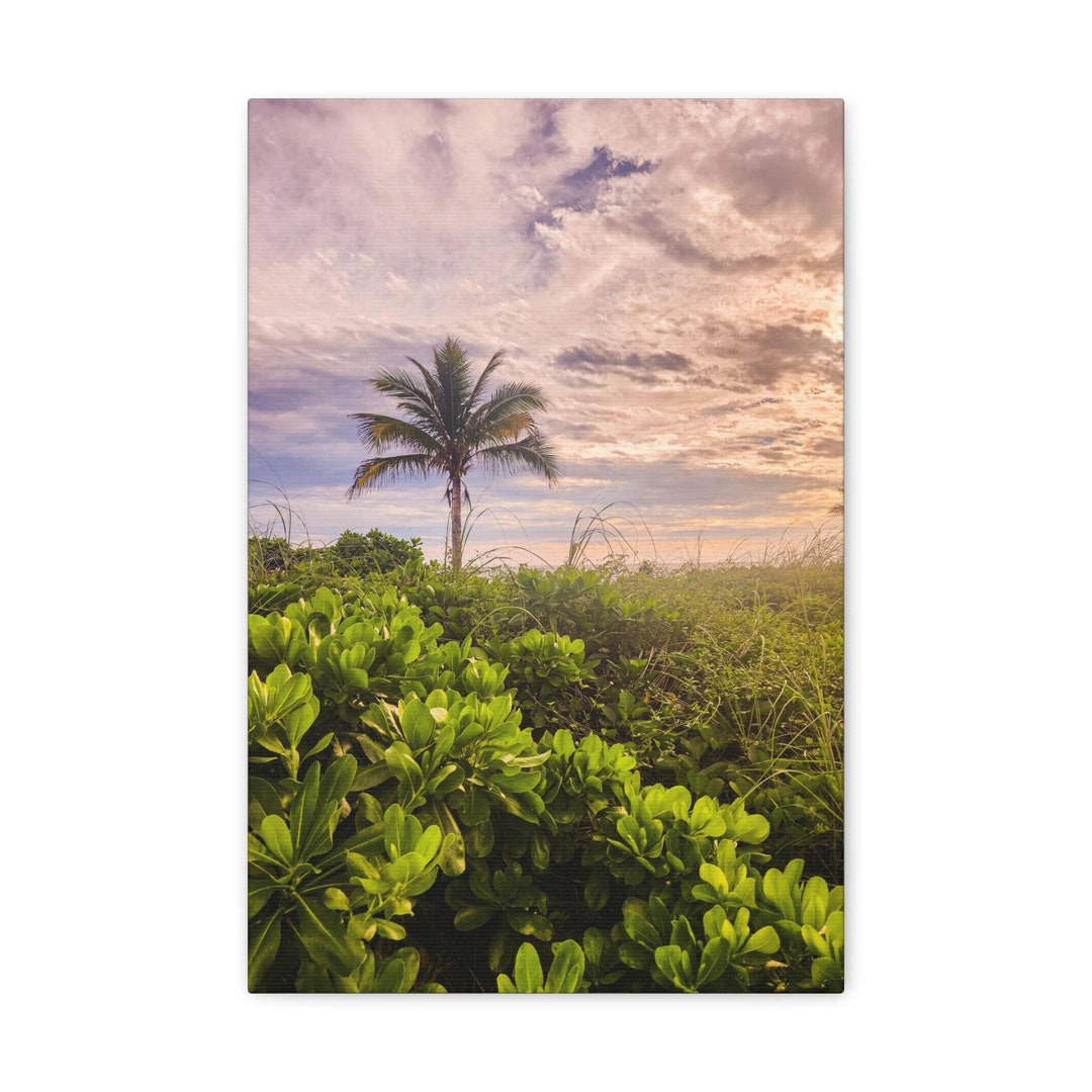 Florida Palm Canvas Wall Art Print. Landscape Wall Decor. Nature Art