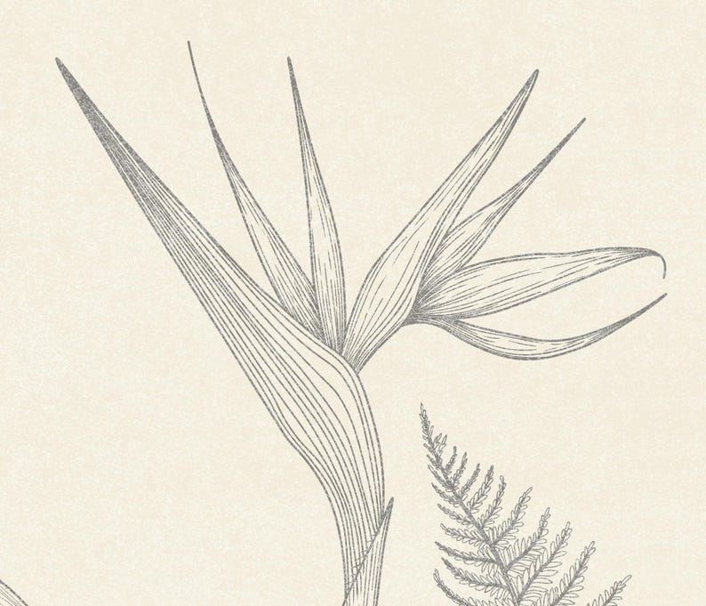 Buy Modern Black and White Palm Tree Wallpaper Mural, Tropical Banana