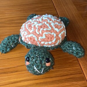 Mama Turtle