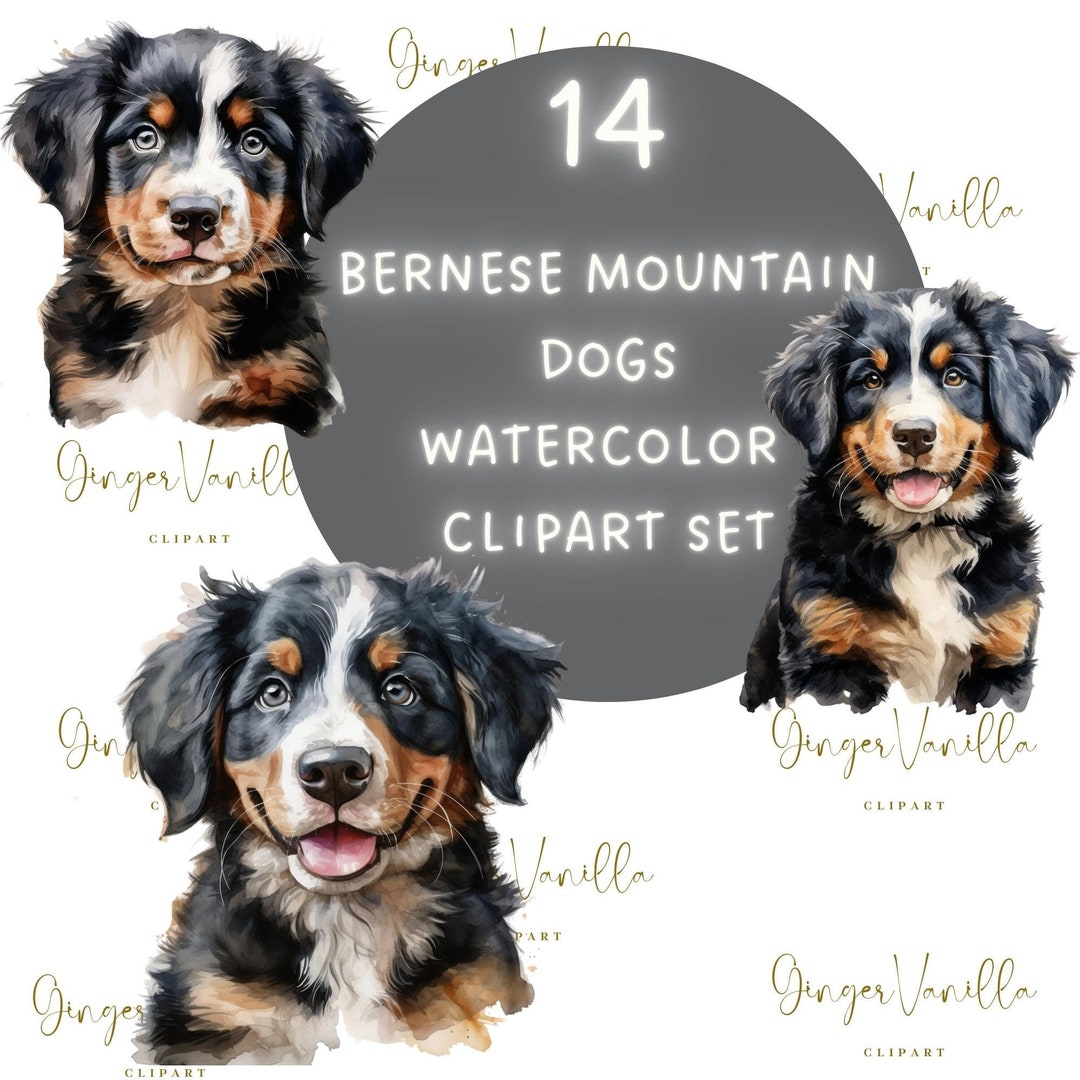 Bernese Mountain Dog Clipart Bernese Dog Clipart Puppy Clip - Etsy
