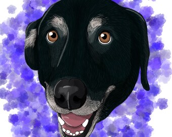 Illustrated Pet Portrait