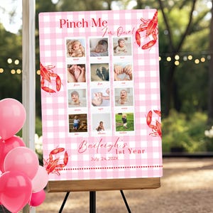 Cartello fotografico "Pinch Me I'm One Crawfish" per bambina, cartello personalizzato per il compleanno di un gambero a quadretti rosa, cartello Mudbug per il primo anno