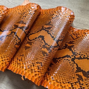 Può includere: Un pezzo di pelle di serpente arancione caratterizzato da un distinto motivo a scaglie a forma di diamante con segni marrone scuro. Il materiale presenta una finitura lucida e testurizzata che mette in risalto la struttura naturale.