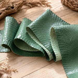 Op de afbeelding: Een lange, flexibele strook donkergroen slangenleer met een duidelijk, herhalend schubbenpatroon. Het materiaal heeft een glanzende afwerking aan de bovenzijde en een bleke, matte onderzijde, getoond in meerdere lagen gevouwen.