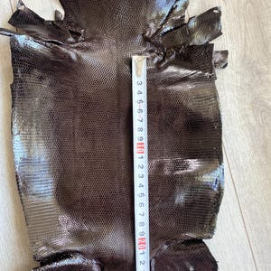 May include: A dark brown, textured lizard skin hide with a glossy finish. A white measuring tape is placed vertically across the centre of the hide, showing a length of approximately 23.5 centimetres from the top edge to the bottom edge.