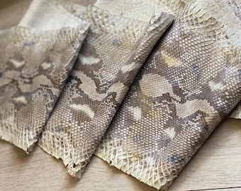 Genuine  Snake Skin Leather Strip – Natural Exotic Leather for Wallets, (not subject to the CITES Convention).