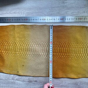 Luxury gradient python leather for handcrafted belts and watch straps