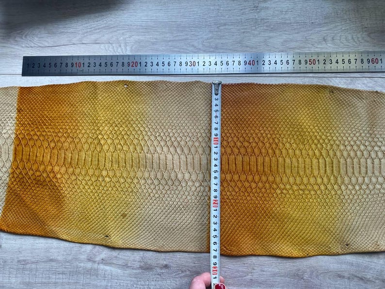 Luxury gradient python leather for handcrafted belts and watch straps