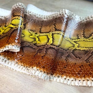 May include: A piece of snakeskin leather featuring a distinct pattern of brown and yellow scales. The material has a textured surface with a repeating geometric design, showcasing a gradient of deep brown tones transitioning into bright yellow.