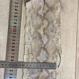 Exotic leather strips professionally tanned in Italy for handmade wallets