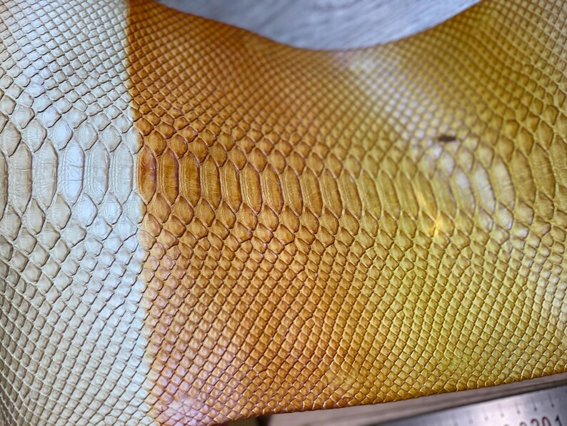 Genuine gradient python leather for artisan leathercraft projects