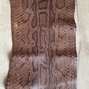 Peut inclure: Une peau de serpent en cuir marron avec un motif d'écailles brun foncé. Un mètre ruban métallique est placé sur le dessus, indiquant une largeur d'environ 24,8 cm. La peau présente une texture géométrique répétitive sur toute sa surface.