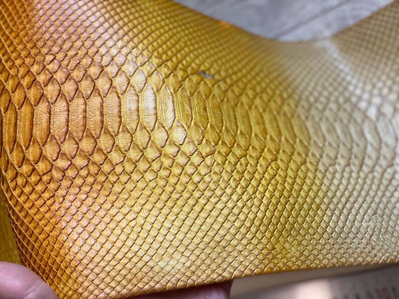 Genuine Italian gradient python leather for handmade wallets and bags