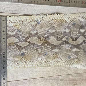 Cobra skin leather strips with flexible texture and neutral natural coloration