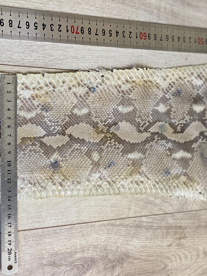 Cobra skin leather strips with flexible texture and neutral natural coloration