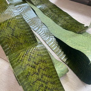 Genuine Dark Green Snake Skin Leather Strip for Wallets, Exotic Leather Material, Italian Tanned