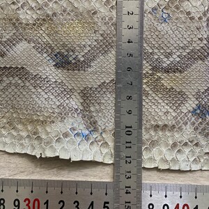 Natural color snake skin fabric with authentic reptile scale pattern