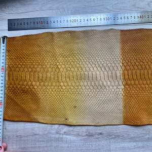 Italian python leather with natural scale texture and gradient finish