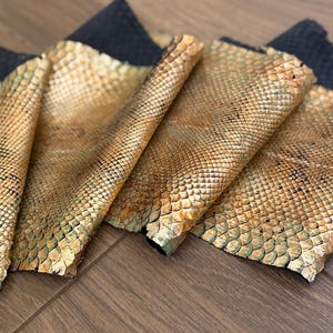 Genuine Green Gold Snake Skin, Exotic Leather, Python Leather scraps , Patterned