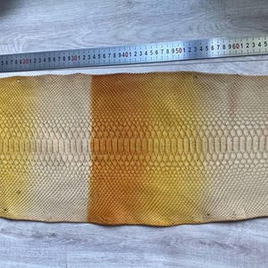 Italian tanned python leather with cream honey and caramel tones